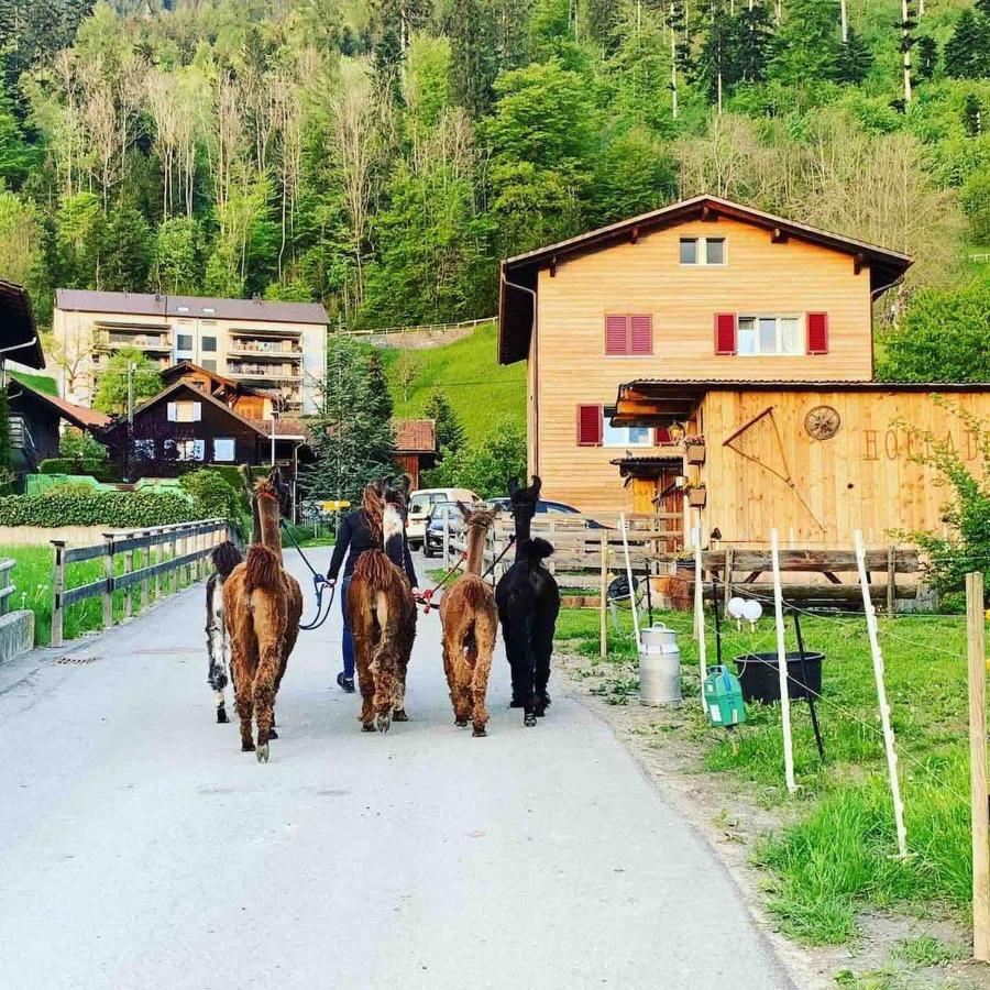 Jurte Beim Lama- & Alpakahof Triesenberg Hotel Eksteriør billede