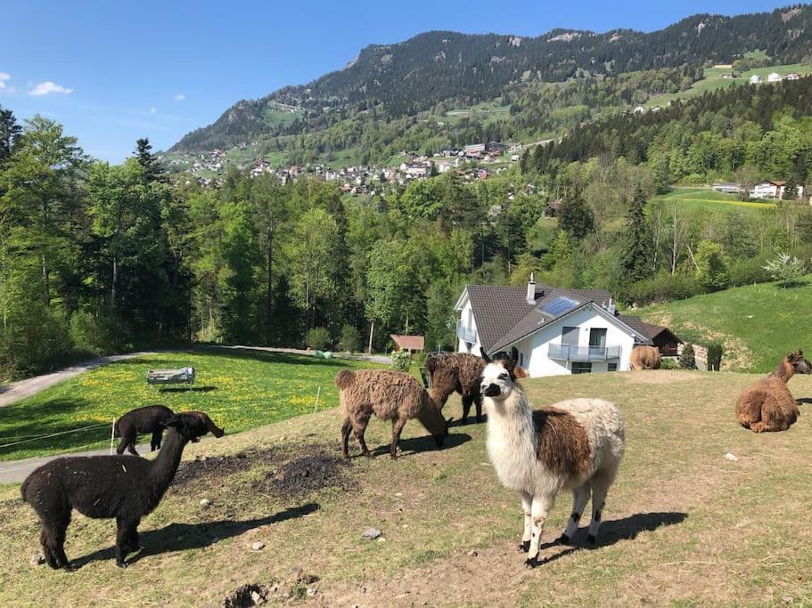 Jurte Beim Lama- & Alpakahof Triesenberg Hotel Eksteriør billede